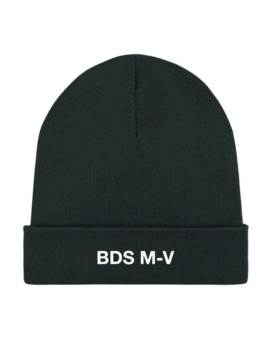 Thinsulate Beanie BDS M-V